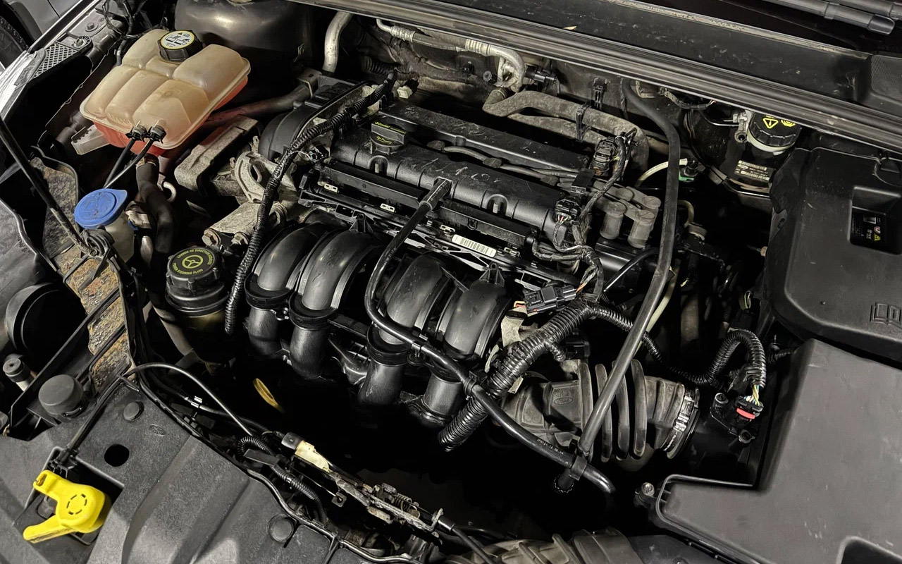 Ford Focus хэтчбек