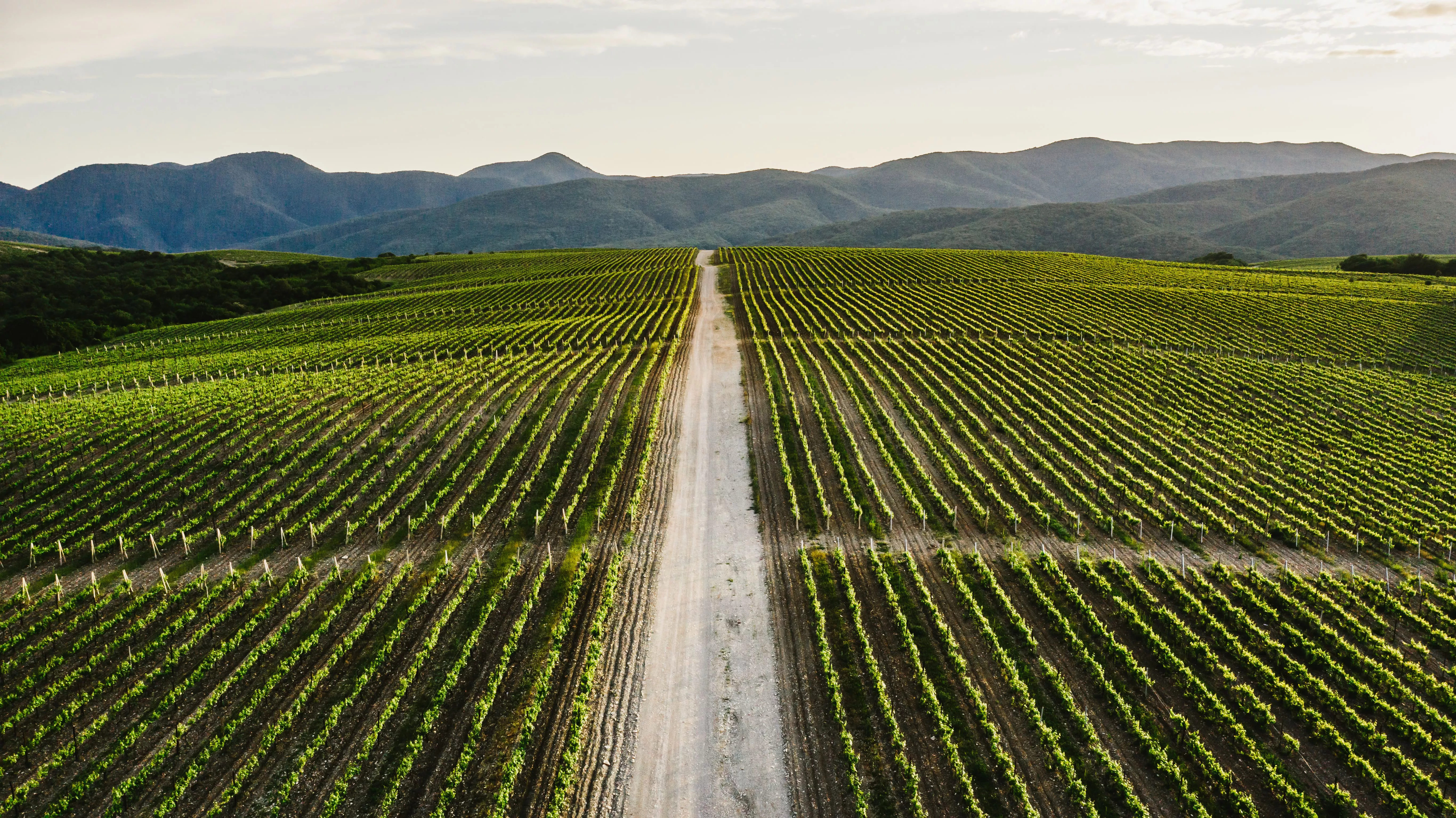 Пресс-служба ГК "Абрау Дюрсо"