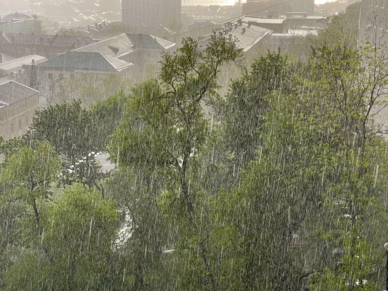 РБК Приморье