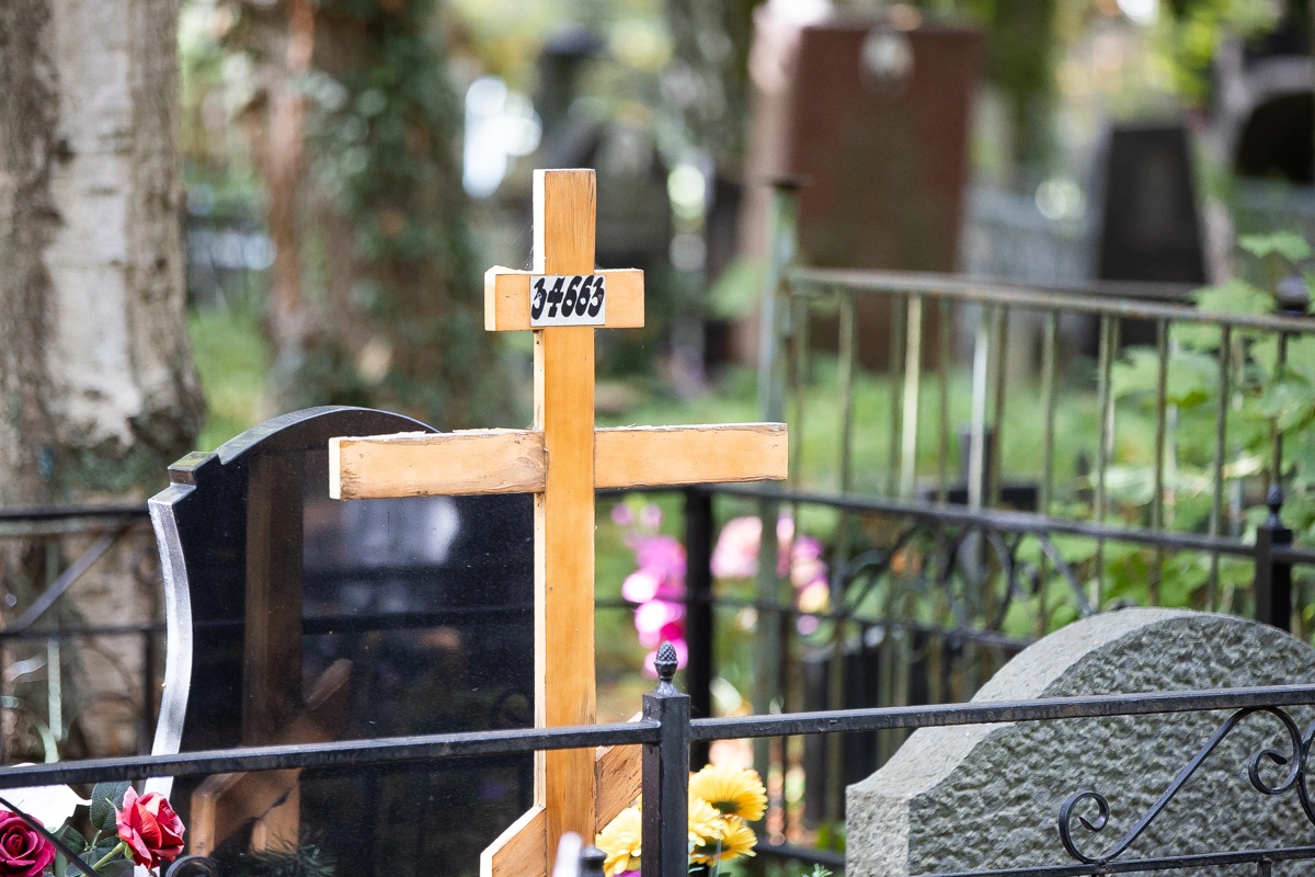 Александр Подгорчук