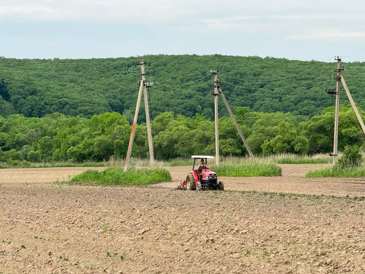 РБК Приморье