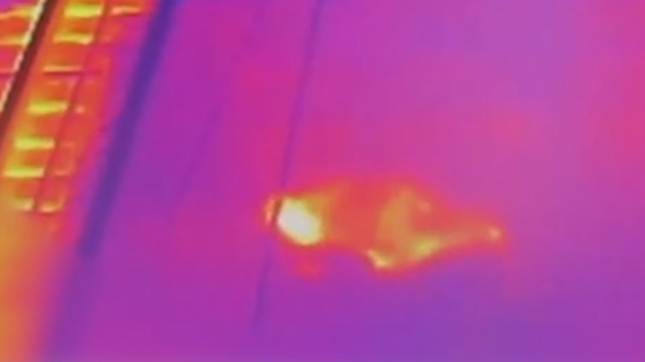 Белорусские пограничники нашли в грузовом вагоне американца-нелегала