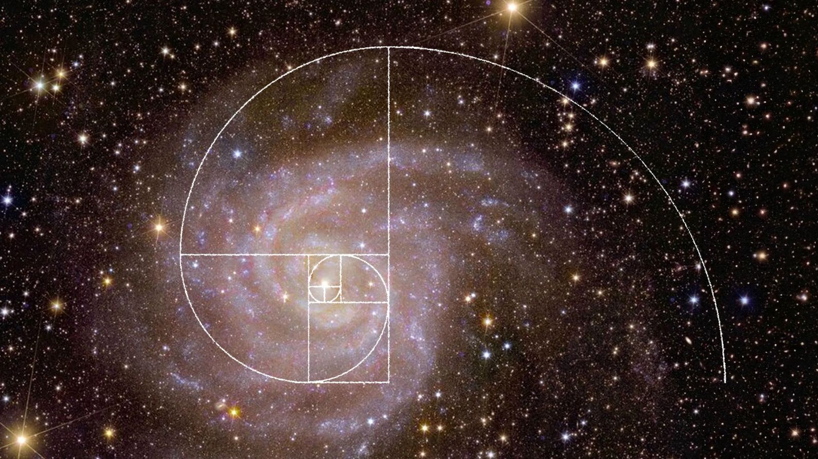 Галактика IC 342, снятая космическим аппаратом ЕКА «Евклид», с наложенной на нее спиралью Фибоначчи