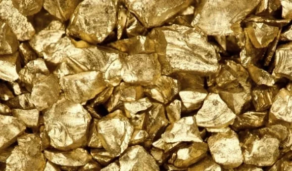 РБК Приморье