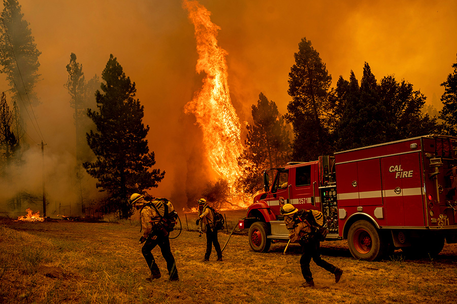 В выходные представитель Cal Fire Наташа Фаутс заявила, что в ведомстве ожидают, что из-за жаркой погоды и усиления ветра распространение огня усилится. Однако, по данным на вечер воскресенья, пожар был не настолько сильным, как в предыдущие дни