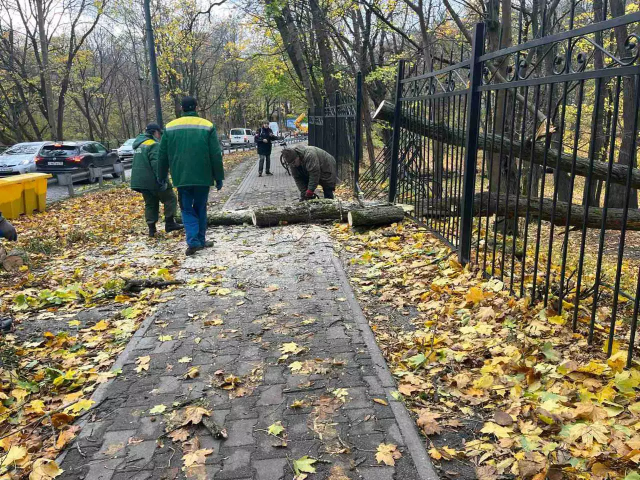 телеграм-канал Елены Дятловой