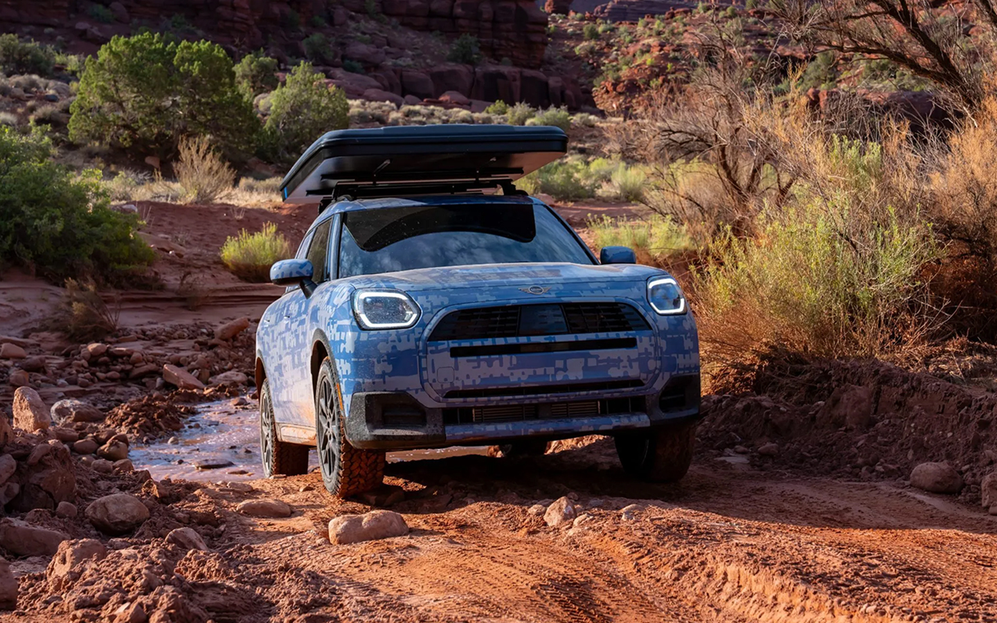 Фото: Mini