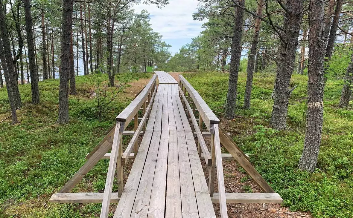 Олег Ермолаев / телеграм-канал