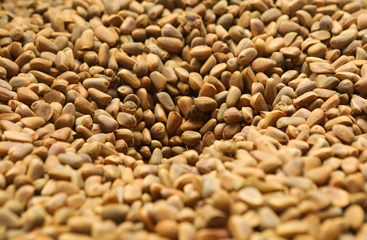 правительство Приморского края