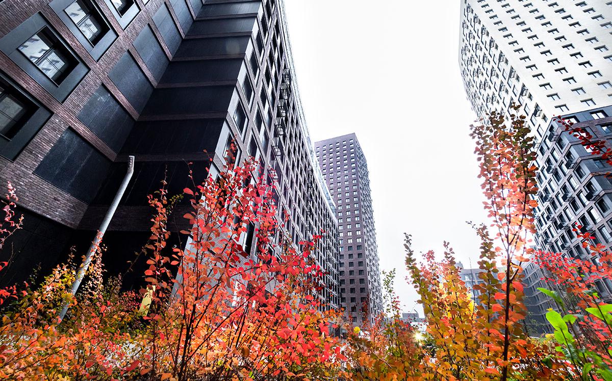 Фото: Konstantin Kokoshkin / Global Look Press