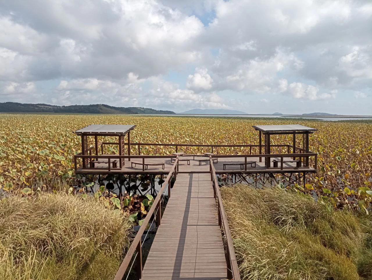 РБК Приморье