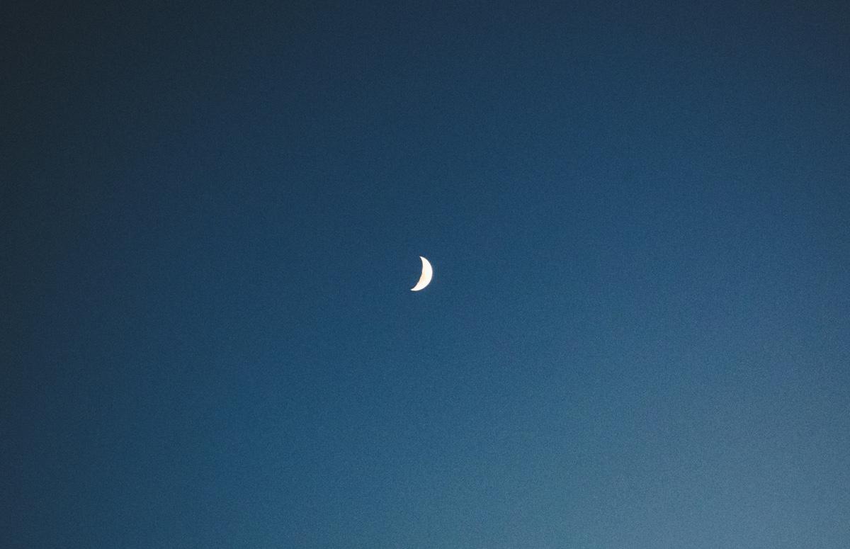 Фото: Max van den Oetelaar / Unsplash