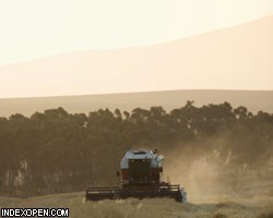 Эксперты раскритиковали предложения Минсельхоза по поддержке АПК