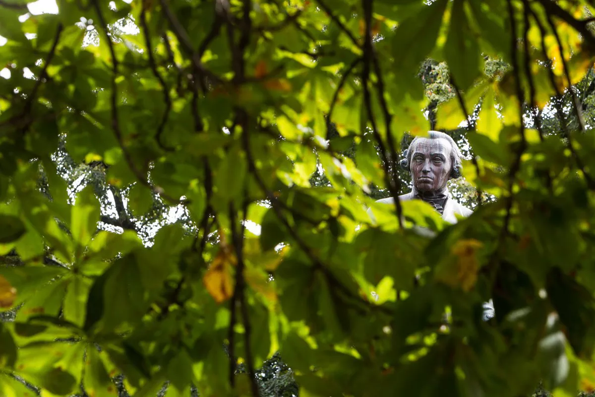 Александр Подгорчук