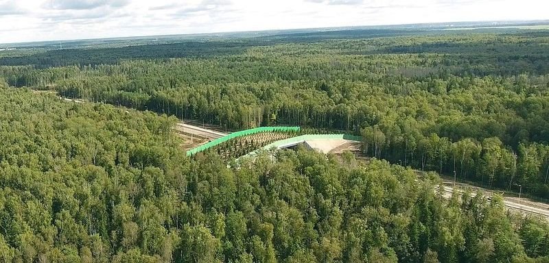 Экодук в Калужской области.