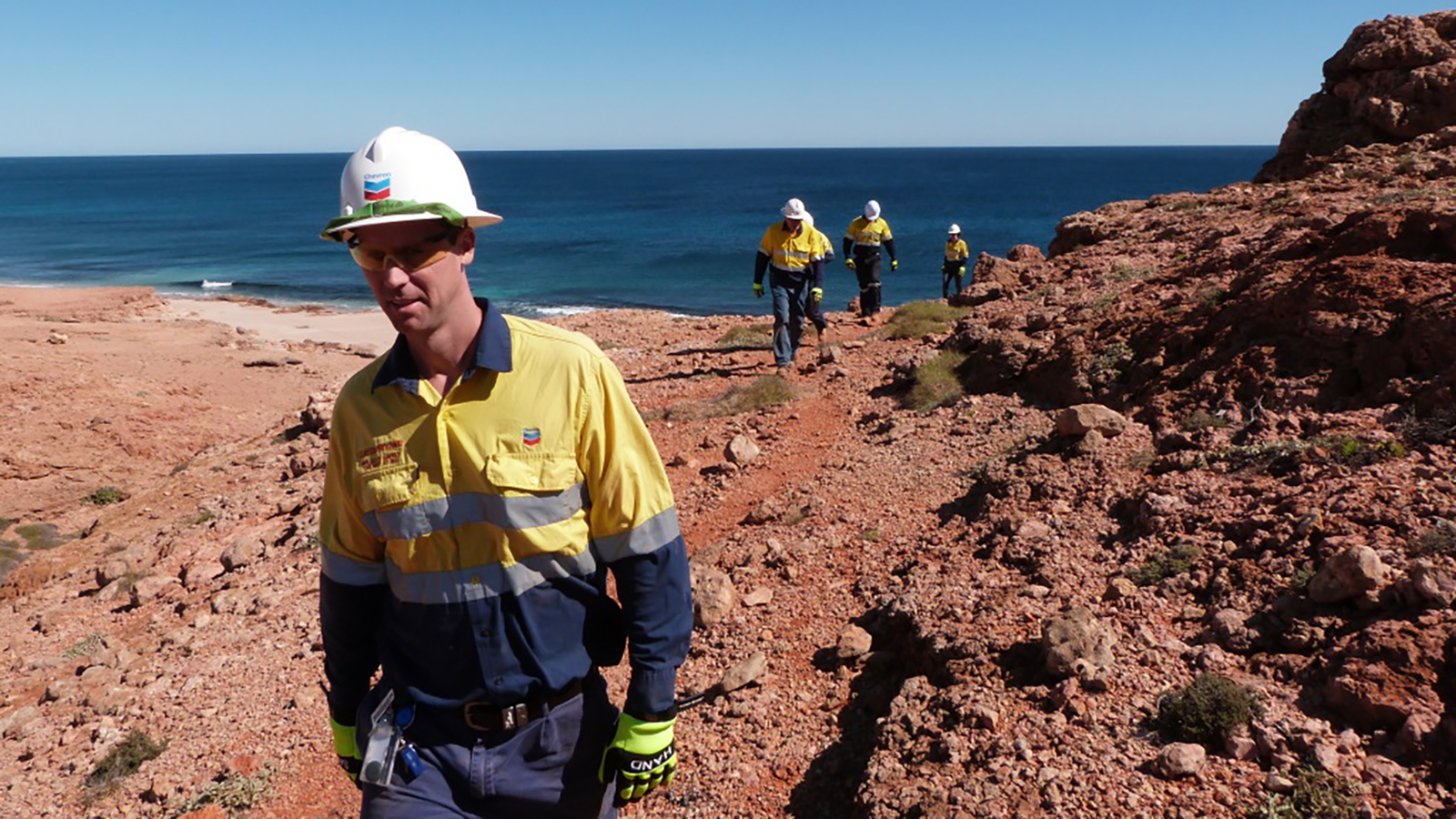 Желідегі модельдердің жалаңаш бейнелері Франкфуртте мысықсыз жыныстық қатынас тез жүреді