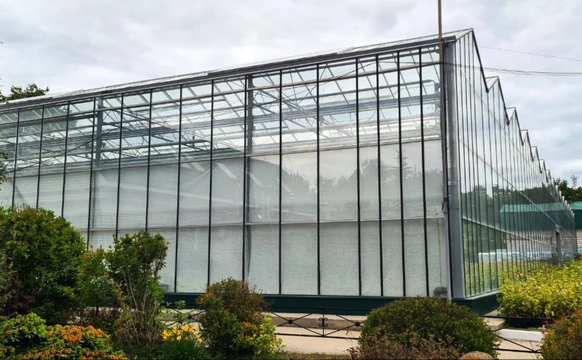 РБК Черноземье