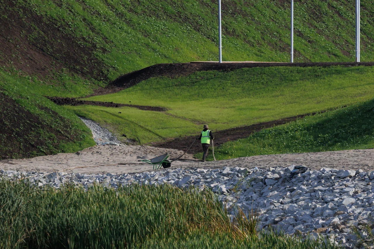 Фото: Брусника