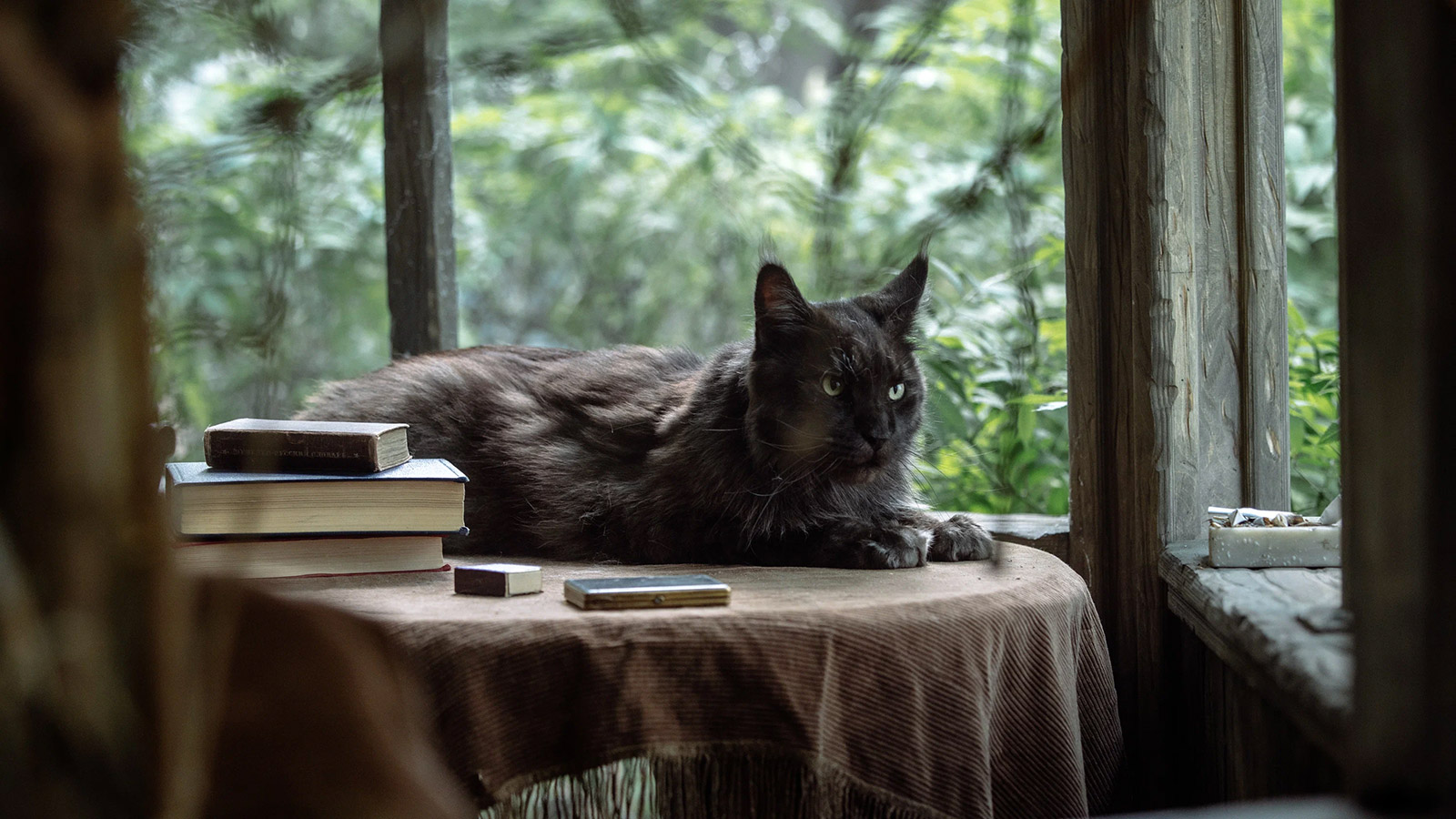 Біз спермамен сүйеміз