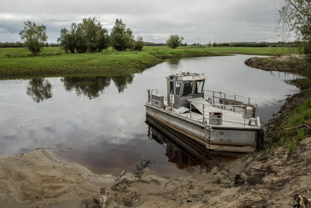 Фото: Александр Кулаковский / URA.RU
