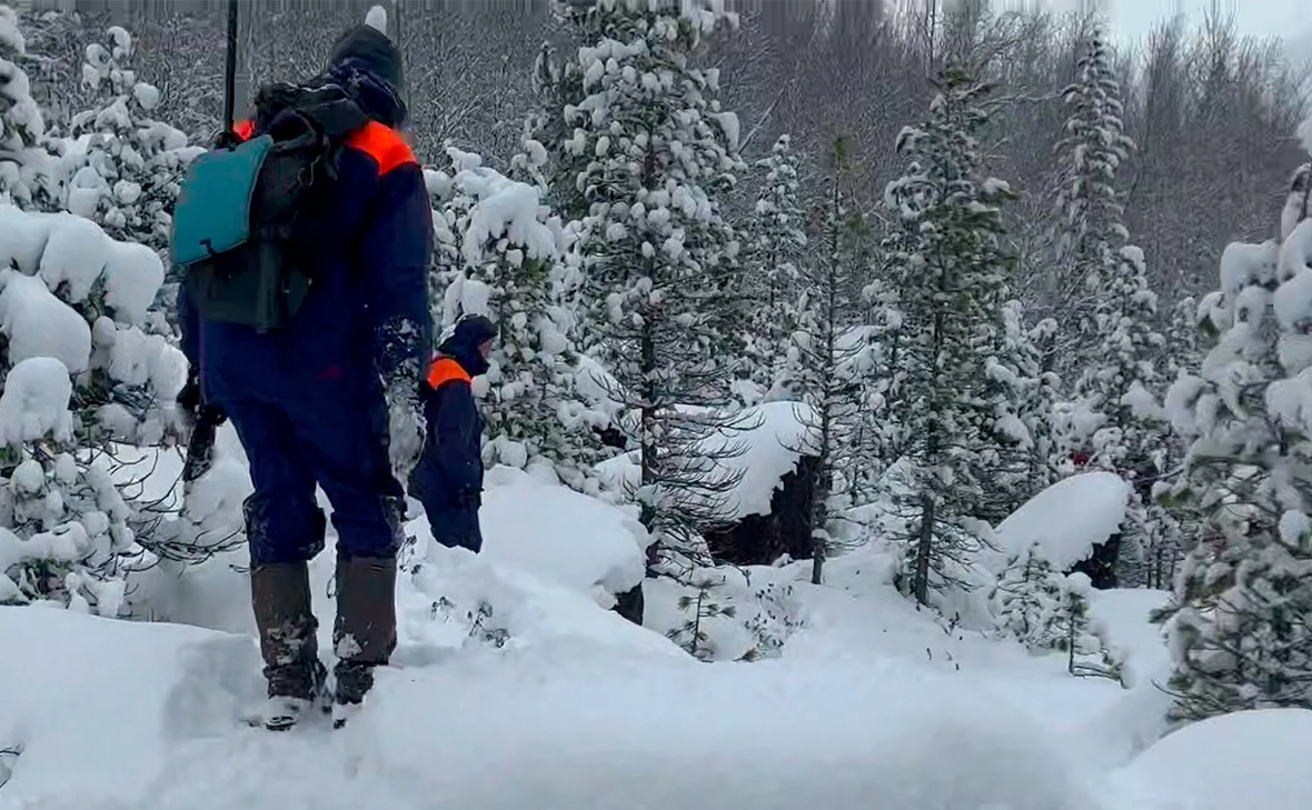 ДПСО «ЛизаАлерт» Красноярского края