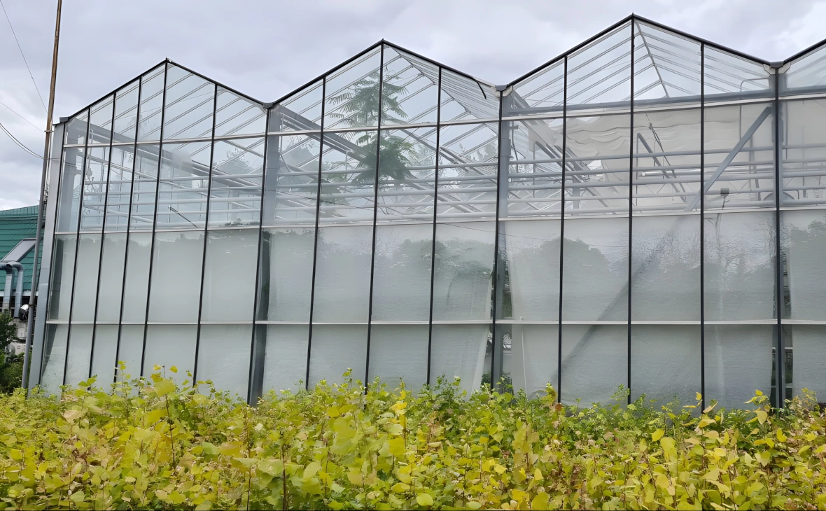 РБК Черноземье