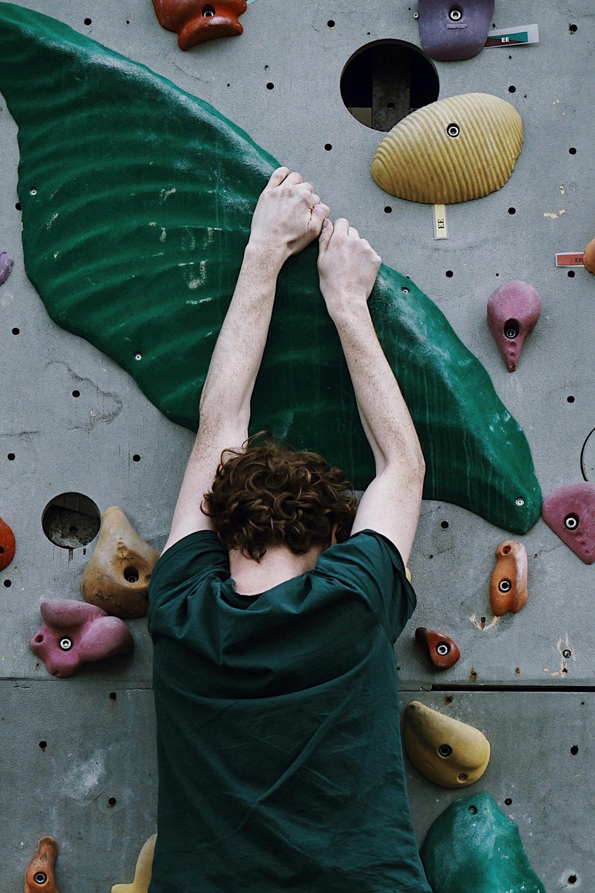 Пол Столц выделил три типа людей в зависимости от их реакции на трудности — «сдающиеся» (quitters), «лагерники» (campers) и «альпинисты» (climbers)