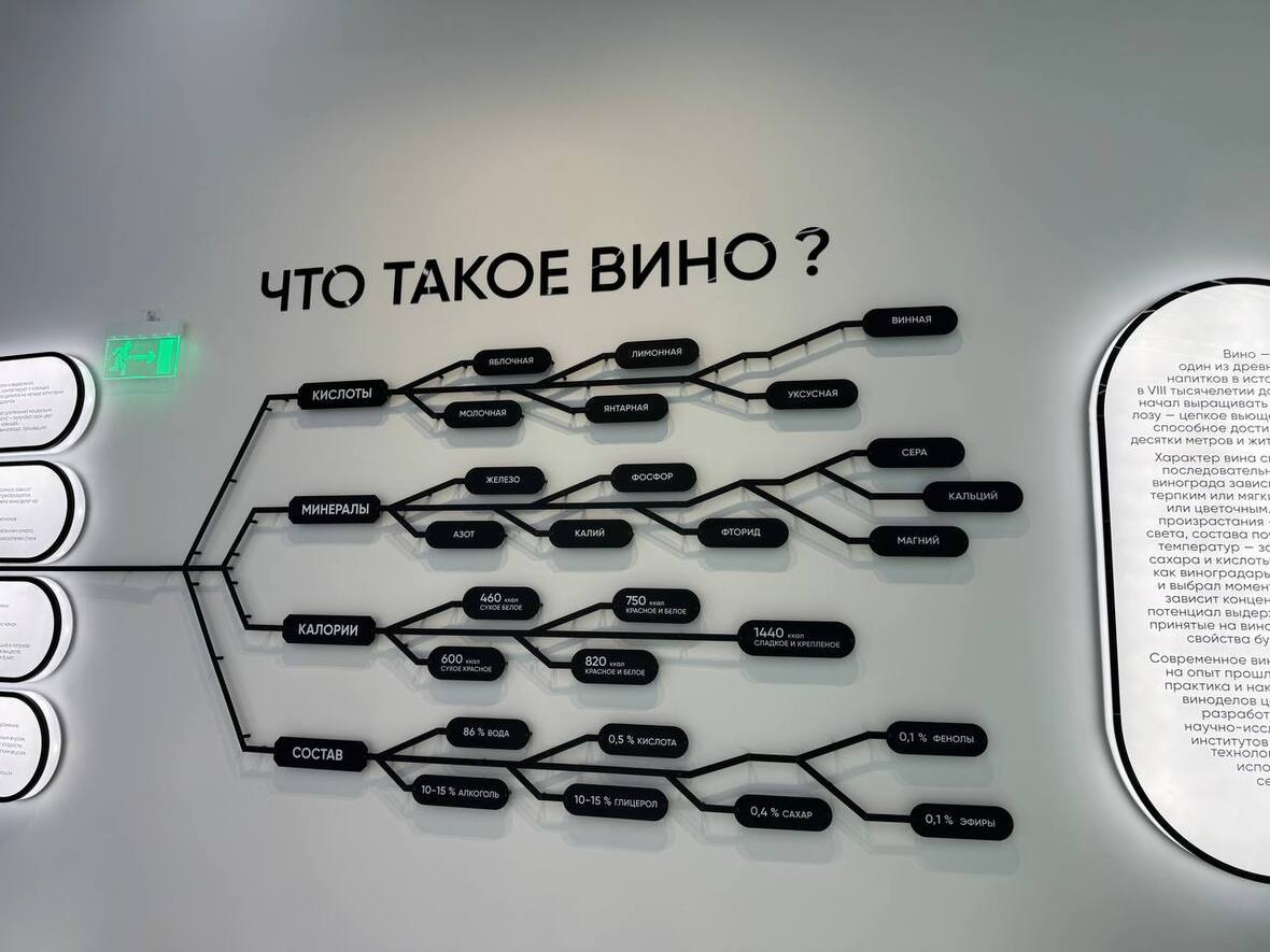 Фото: РБК Краснодар. Миссия музея — рассказать о богатой традиции русского виноделия и дать импульс для развития винной культуры в России в будущем
