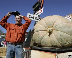 Американец вырастил гигантскую 700-килограммовую тыкву 