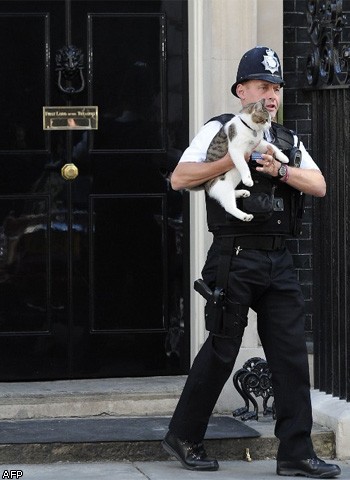 Британский премьер Дэвид Кэмерон уволил собственного кота