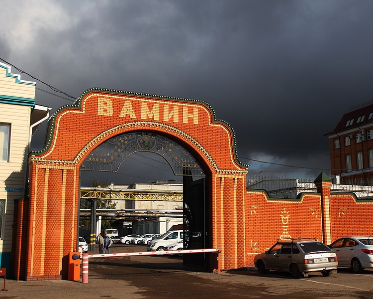 "Вамин" продаст имущество на аукционе за 64 млн.рублей