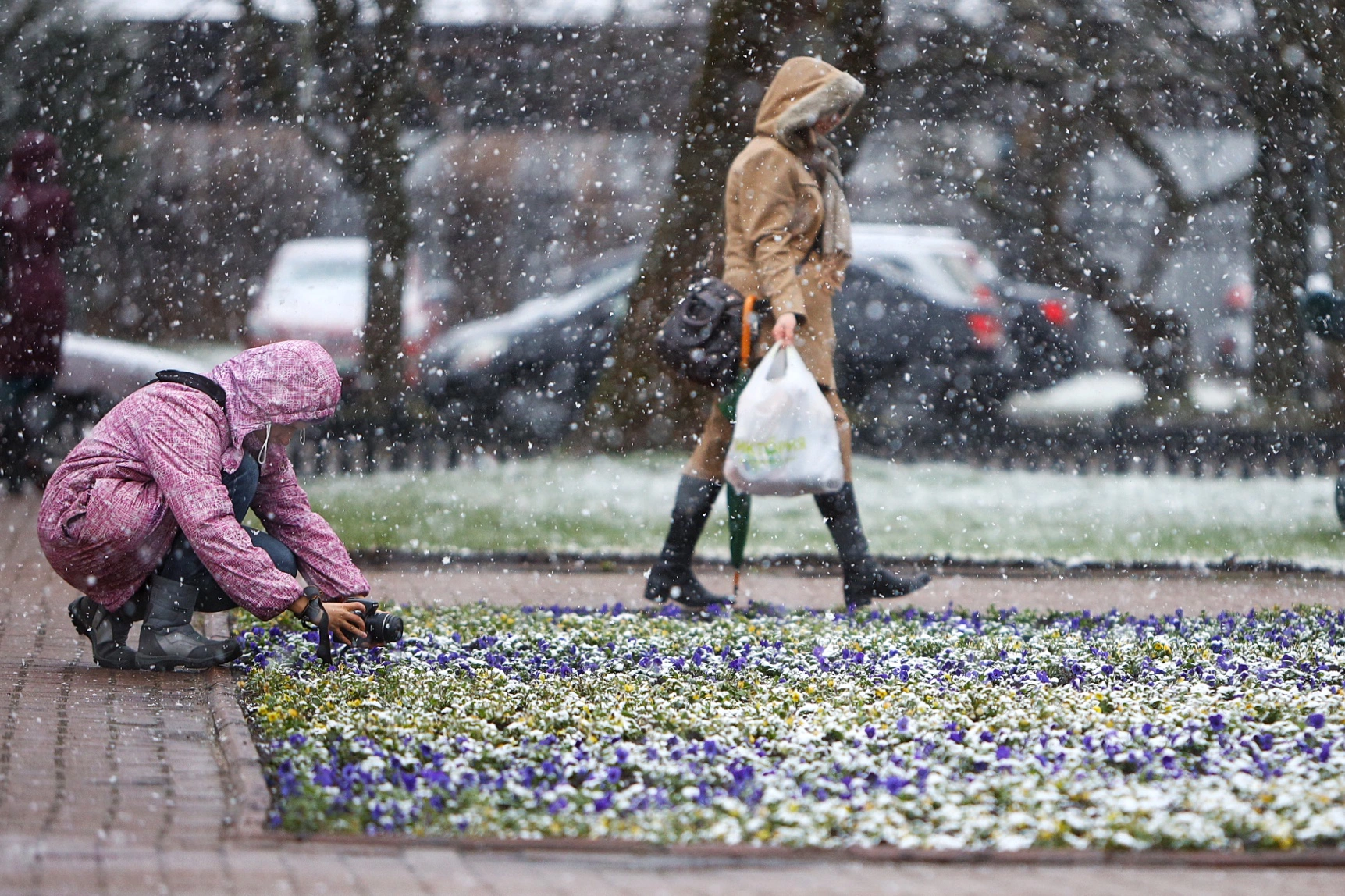 Александр Подгорчук