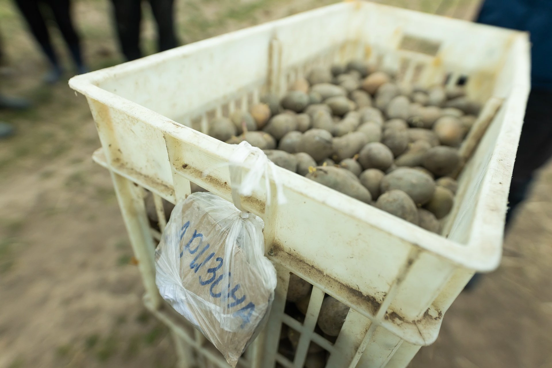 Александр Подгорчук