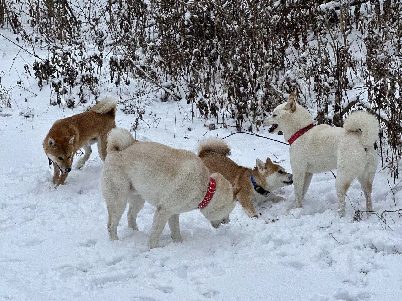 РБК Приморье