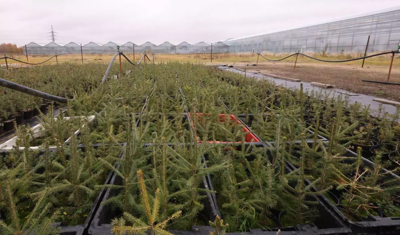 Администрация Дзержинска