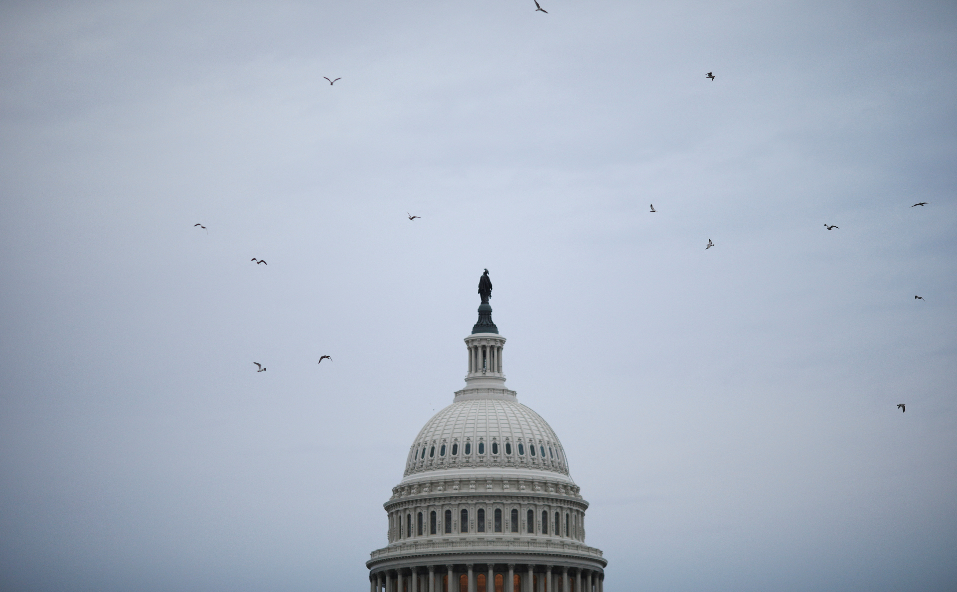 Фото:Tom Brenner / Reuters