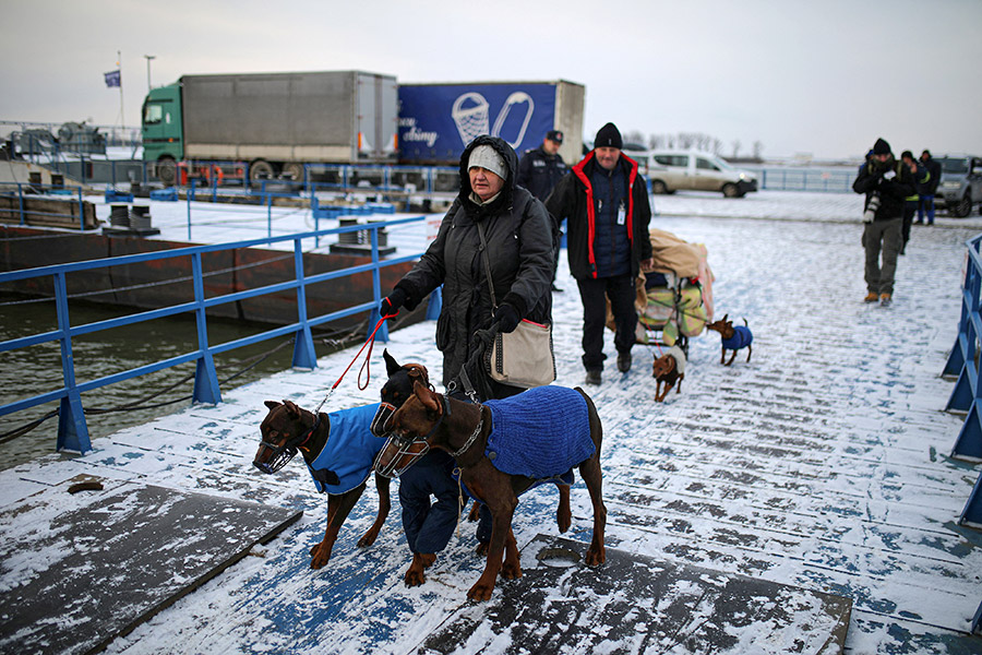 Семья из города Николаев, Украина, эвакуируется с пятью собаками, 11 марта