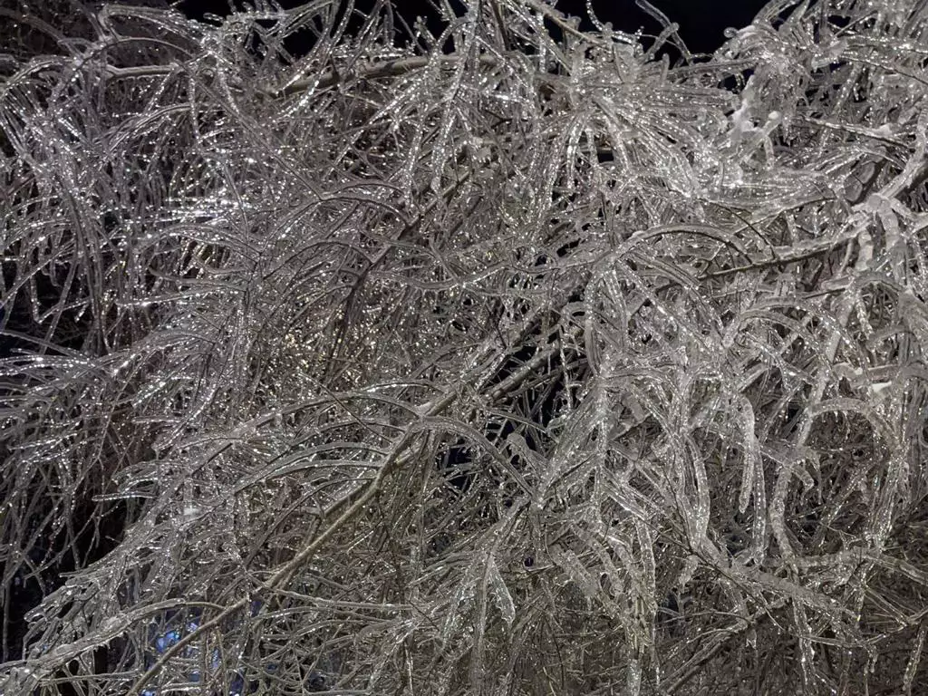 РБК Приморье