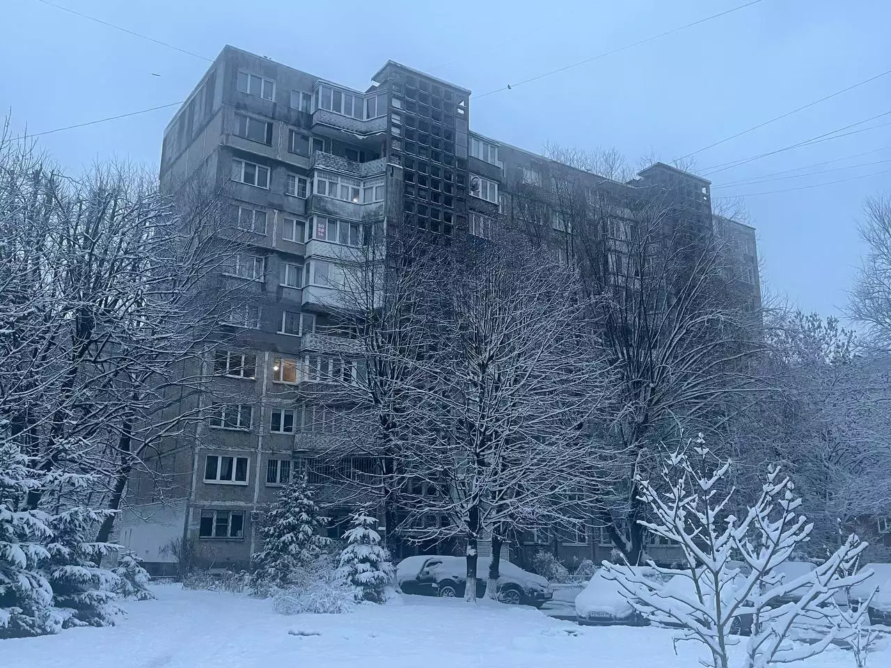 Марина Маркевич