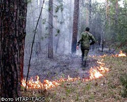 В Братске идет массовая охота на поджигателей леса