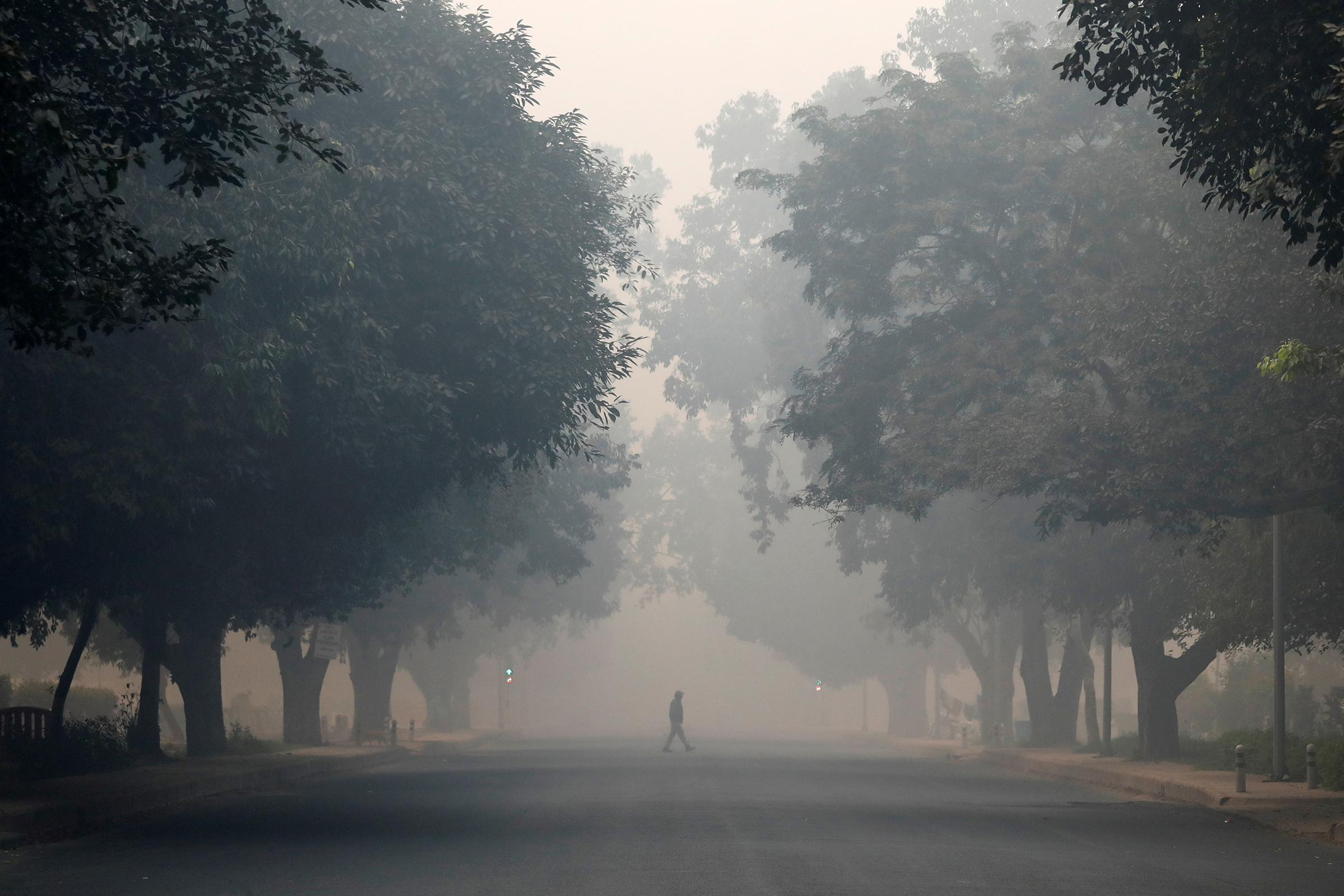 По данным Международного энергетического агентства, к 2050 году доля выбросов углекислого газа в Индии достигнет 45%. В крупных городах, например в Бомбее, Дели, Калькутте, уровень загрязнения воздуха в три&nbsp;раза превышает нормы Всемирной организации здравоохранения (ВОЗ)
