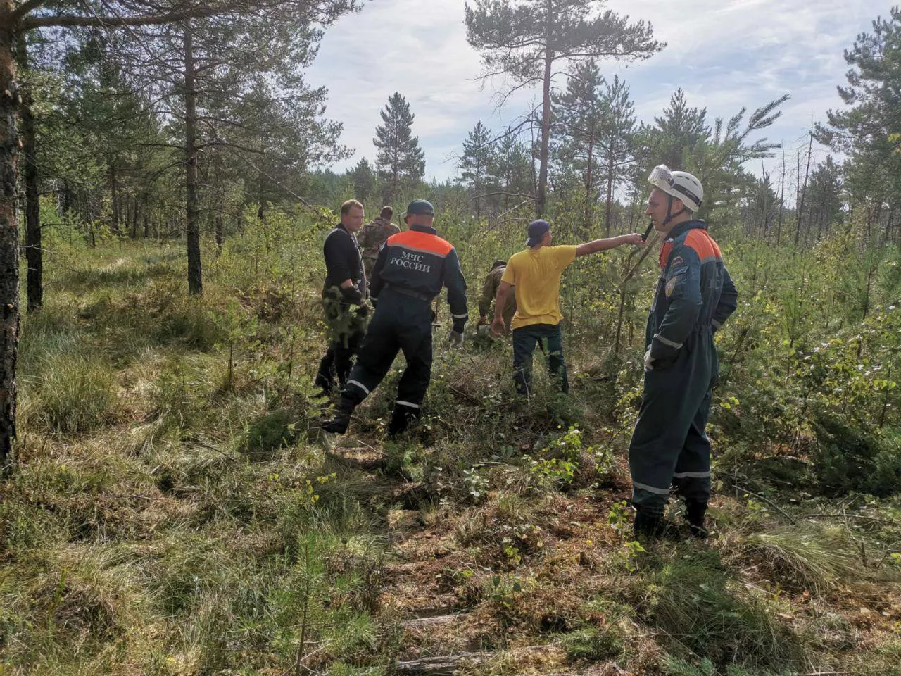 Телеграм-канал Глеба Никитина