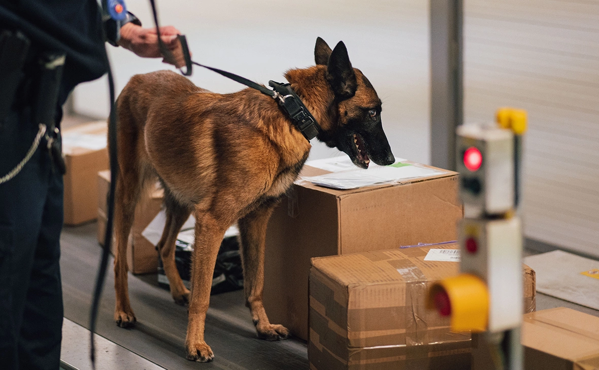 Marius Becker / dpa / Global Look Press