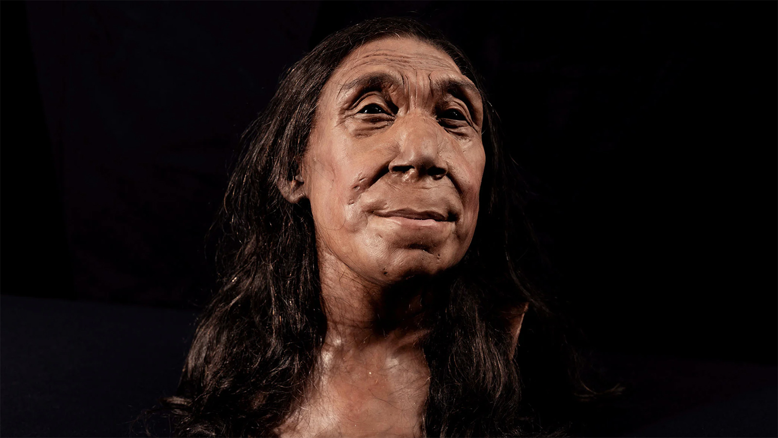 <p>Реконструкция головы неандертальской женщины, которую ученые назвали Шанидар&nbsp;Z</p>