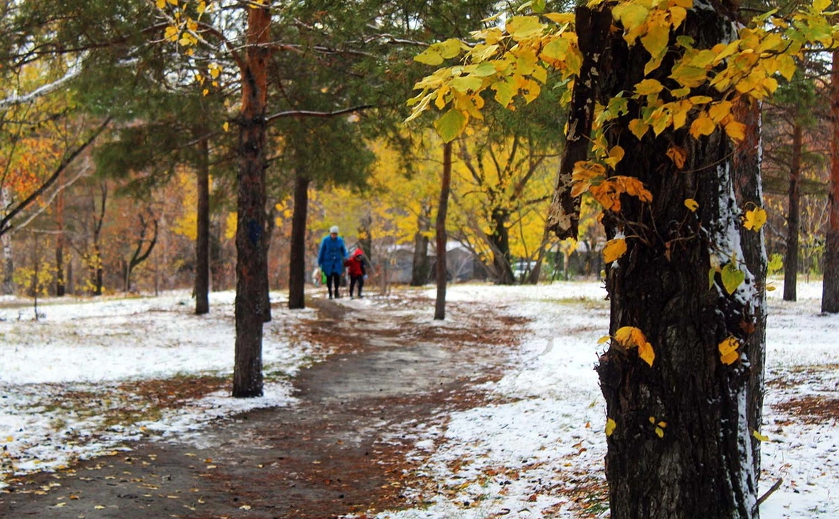 Юлия Майстренко