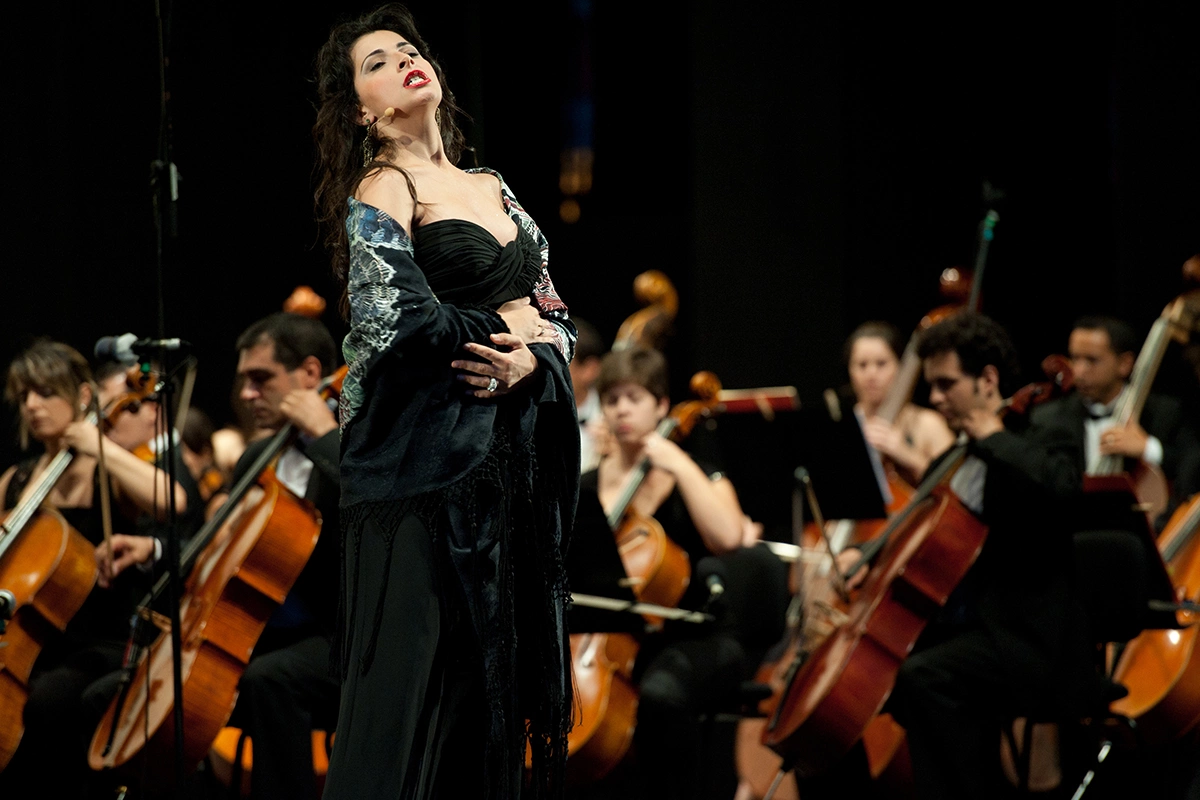 Актерская игра, декорации, свет и костюмы в опере поддерживают и раскрывают то, что заложено в музыке