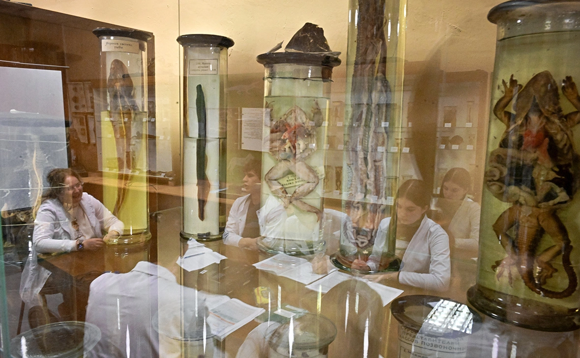 Евгений Биятов / РИА Новости