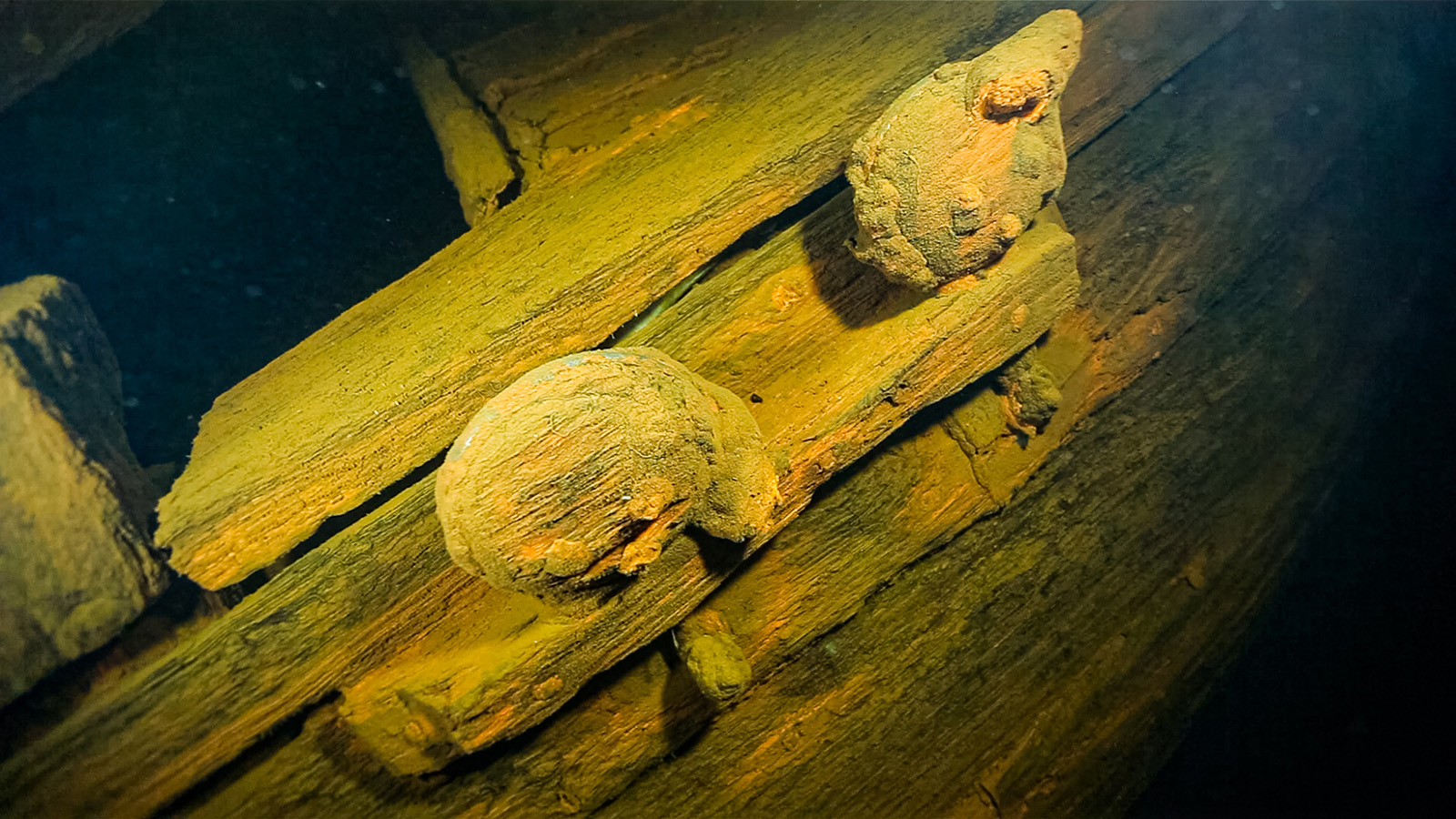 На дне Онежского озера найден нетронутый корабль эпохи Петра I. Фото