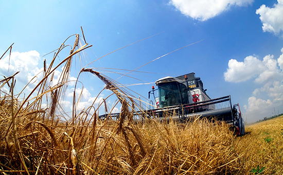Крупнейшие российские аграрии нарастили земельный банк на 10% — РБК
