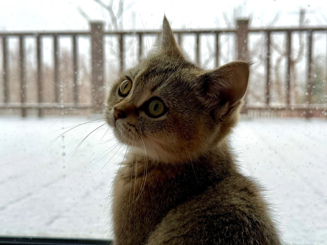 РБК Приморье